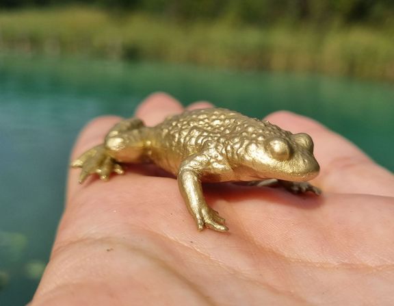 Die goldene Unke GUNK_24.jpg