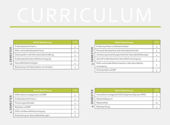 Download " Klientenzentrierte evidenzbasierte Gesundheitsversorgung - Curriculum" EBGV_Master_EB_2024.jpeg